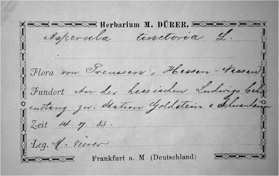 Handschrift Martin Dürer, Beleg aus FR
